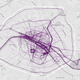 Illustration for article titled The Worlds Most Popular Running Routes, Visualized